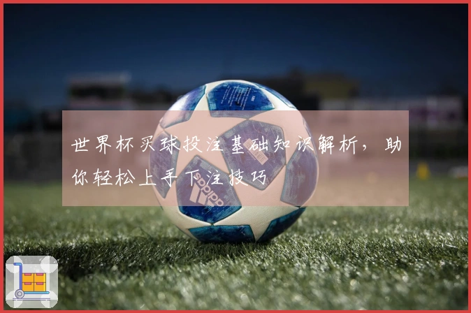 世界杯买球投注基础知识解析，助你轻松上手下注技巧