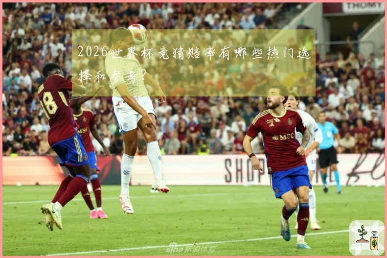2026世界杯竞猜赔率有哪些热门选择和参考？