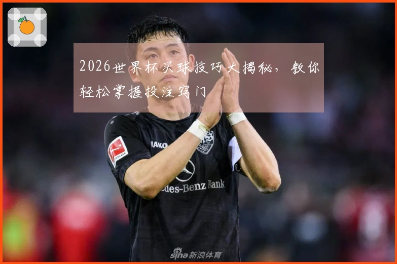 2026世界杯买球技巧大揭秘，教你轻松掌握投注窍门