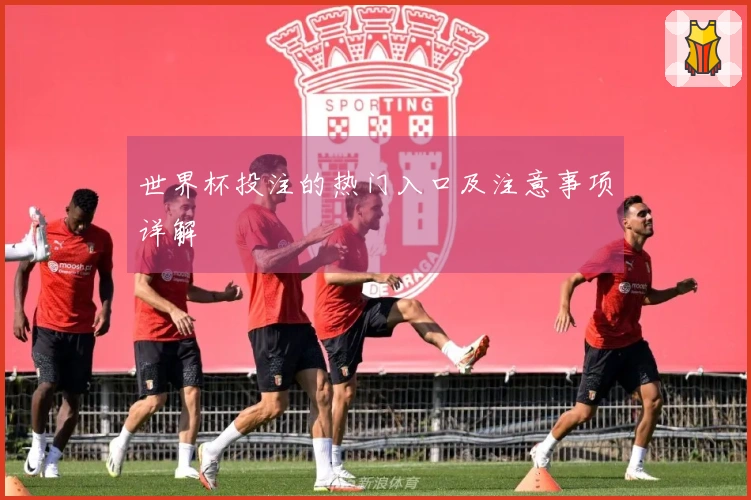 世界杯投注的热门入口及注意事项详解