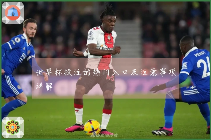 世界杯投注的热门入口及注意事项详解