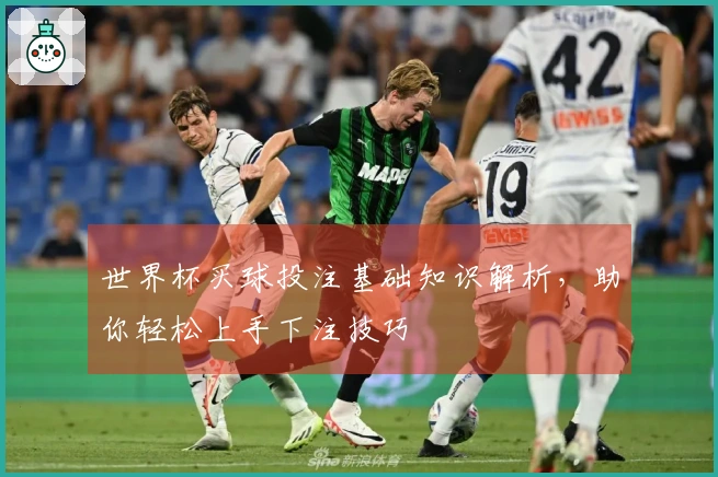 世界杯买球投注基础知识解析，助你轻松上手下注技巧