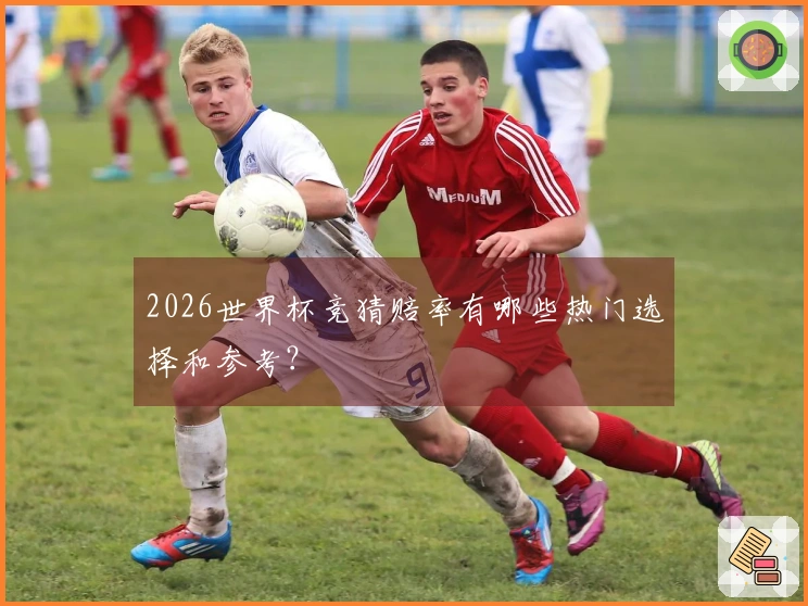 2026世界杯竞猜赔率有哪些热门选择和参考？