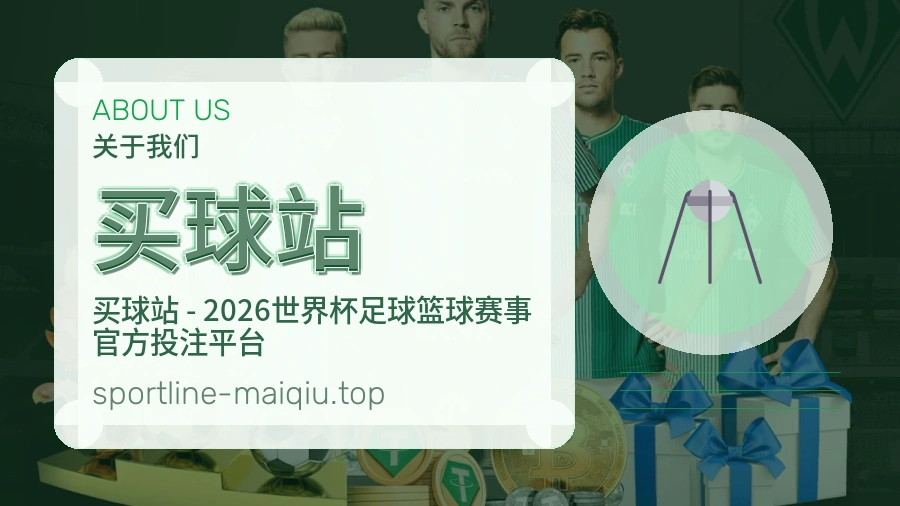 关于 买球站 团队与服务